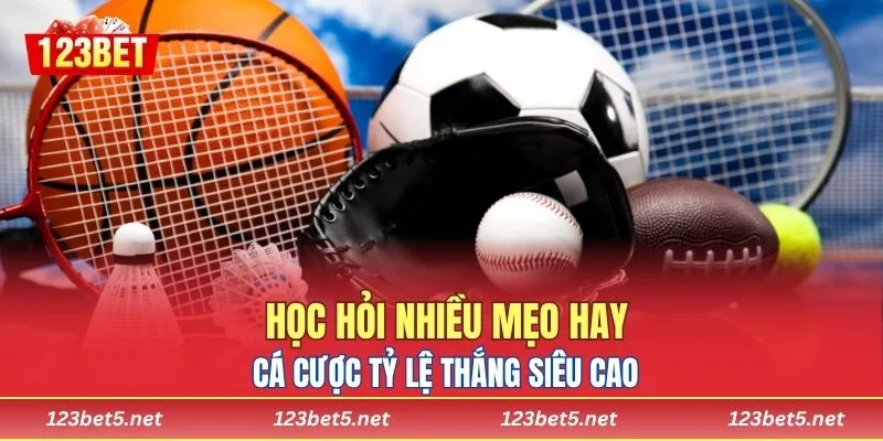 Học hỏi nhiều mẹo hay, cá cược tỷ lệ thắng siêu cao